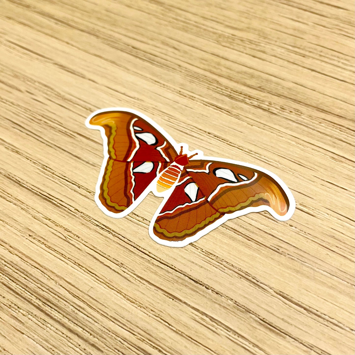 Atlas Moth Sticker