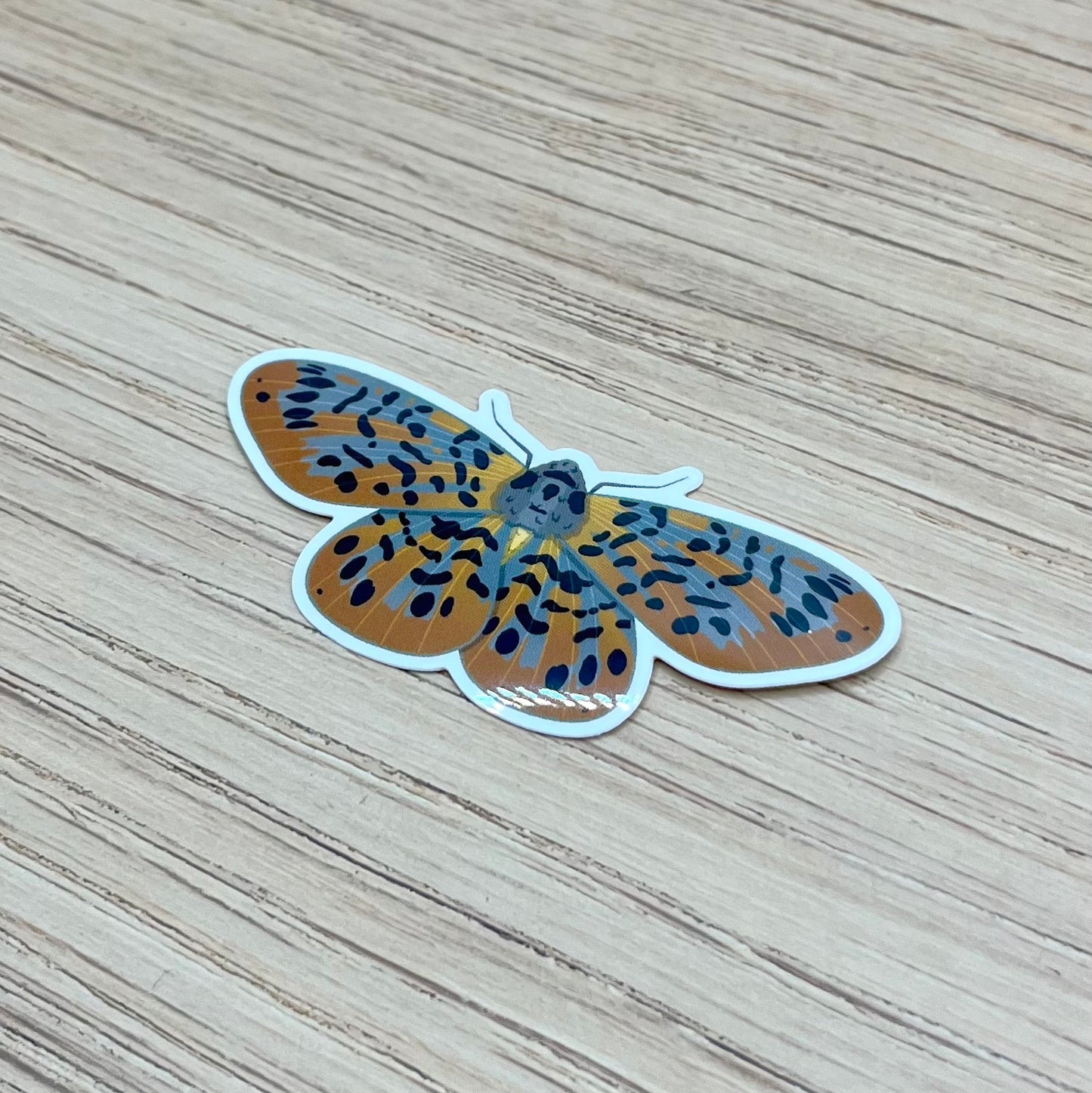 Bracca Matutinata Moth Sticker