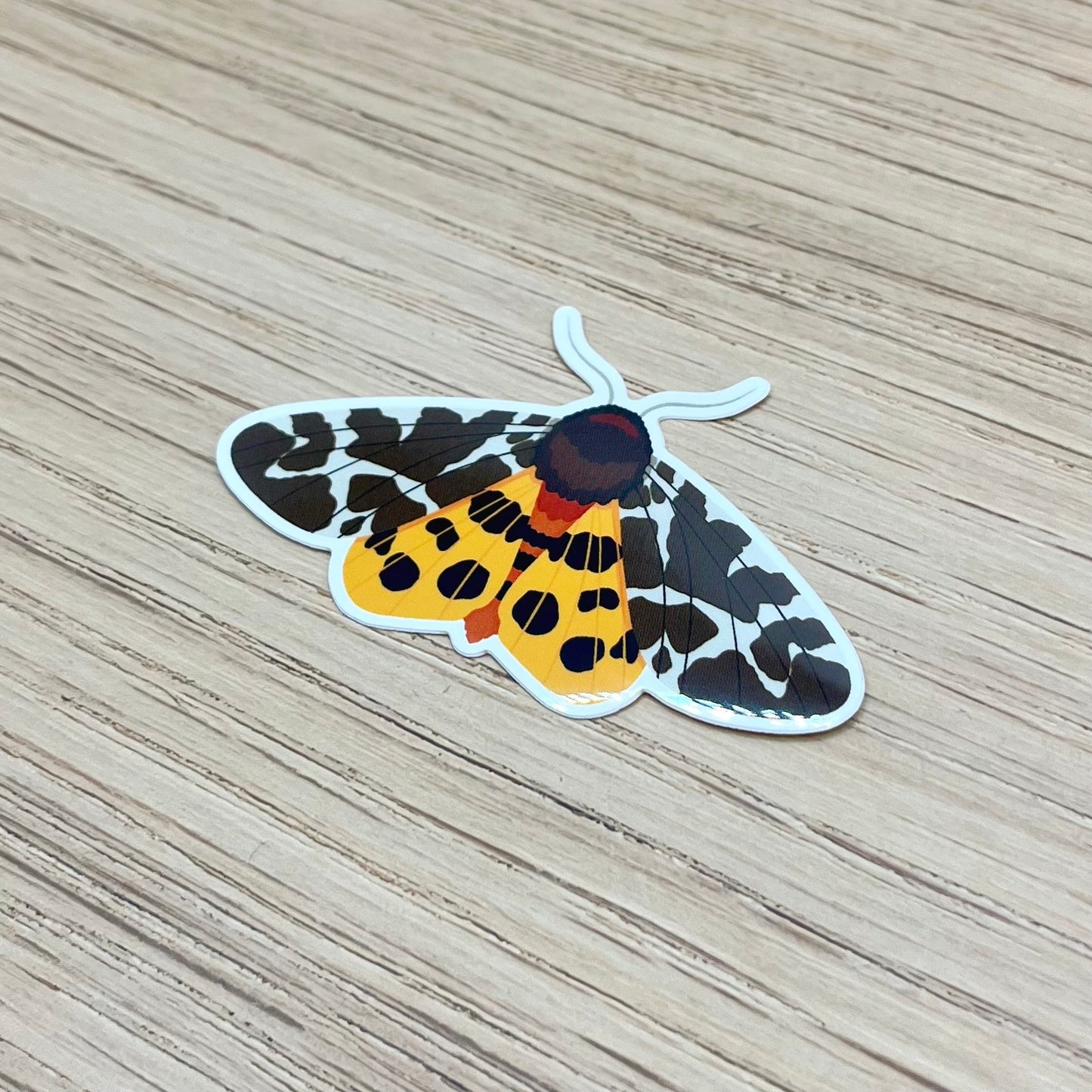 Garden Tiger Moth Sticker
