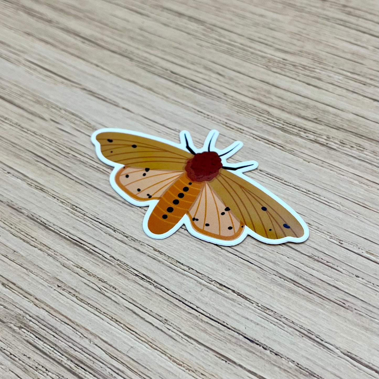 Isabella Tiger Moth Sticker
