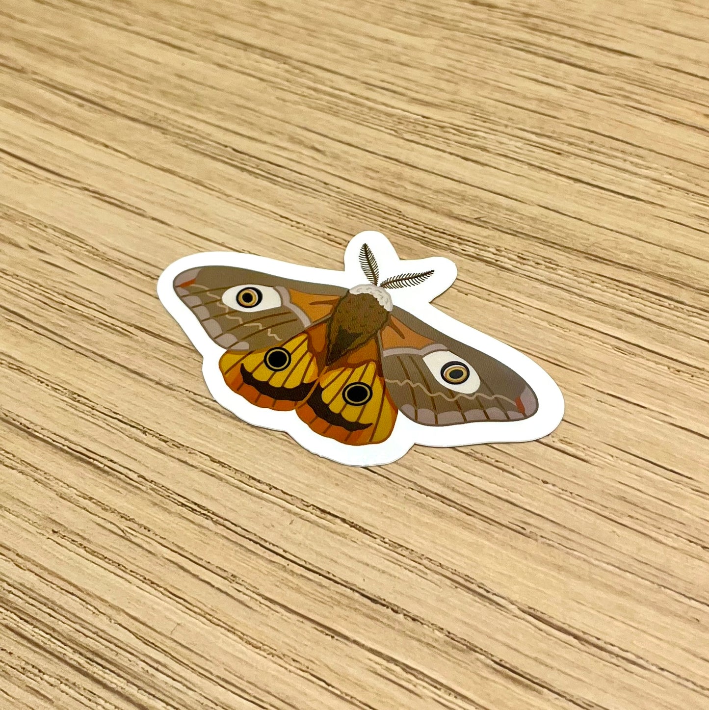 Emperor Moth Sticker