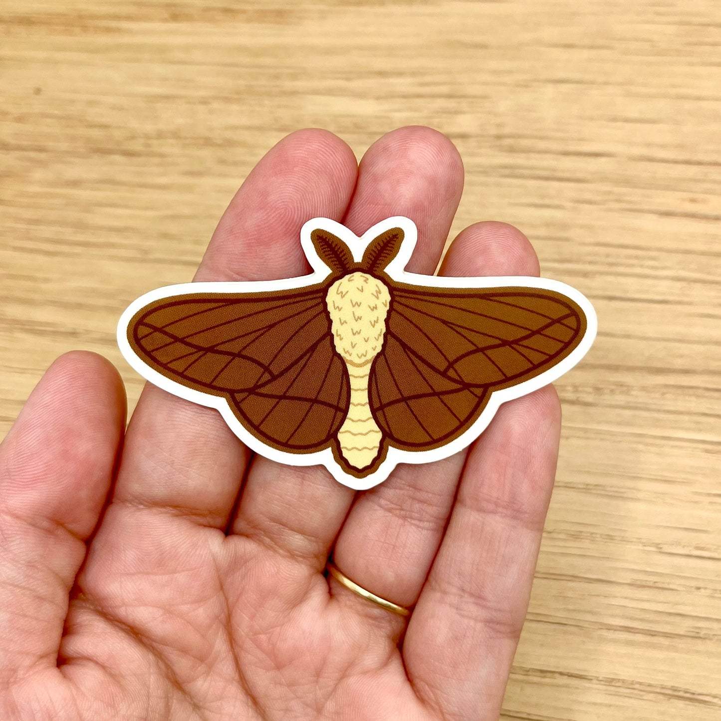 Brown Moth Sticker
