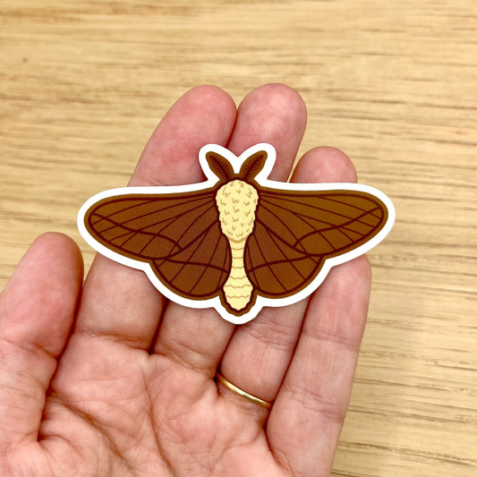 Brown Moth Sticker