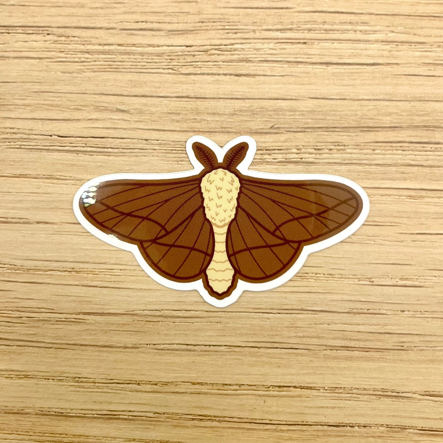 Brown Moth Sticker