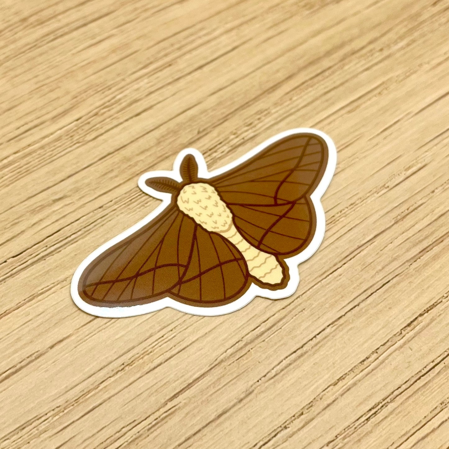 Brown Moth Sticker