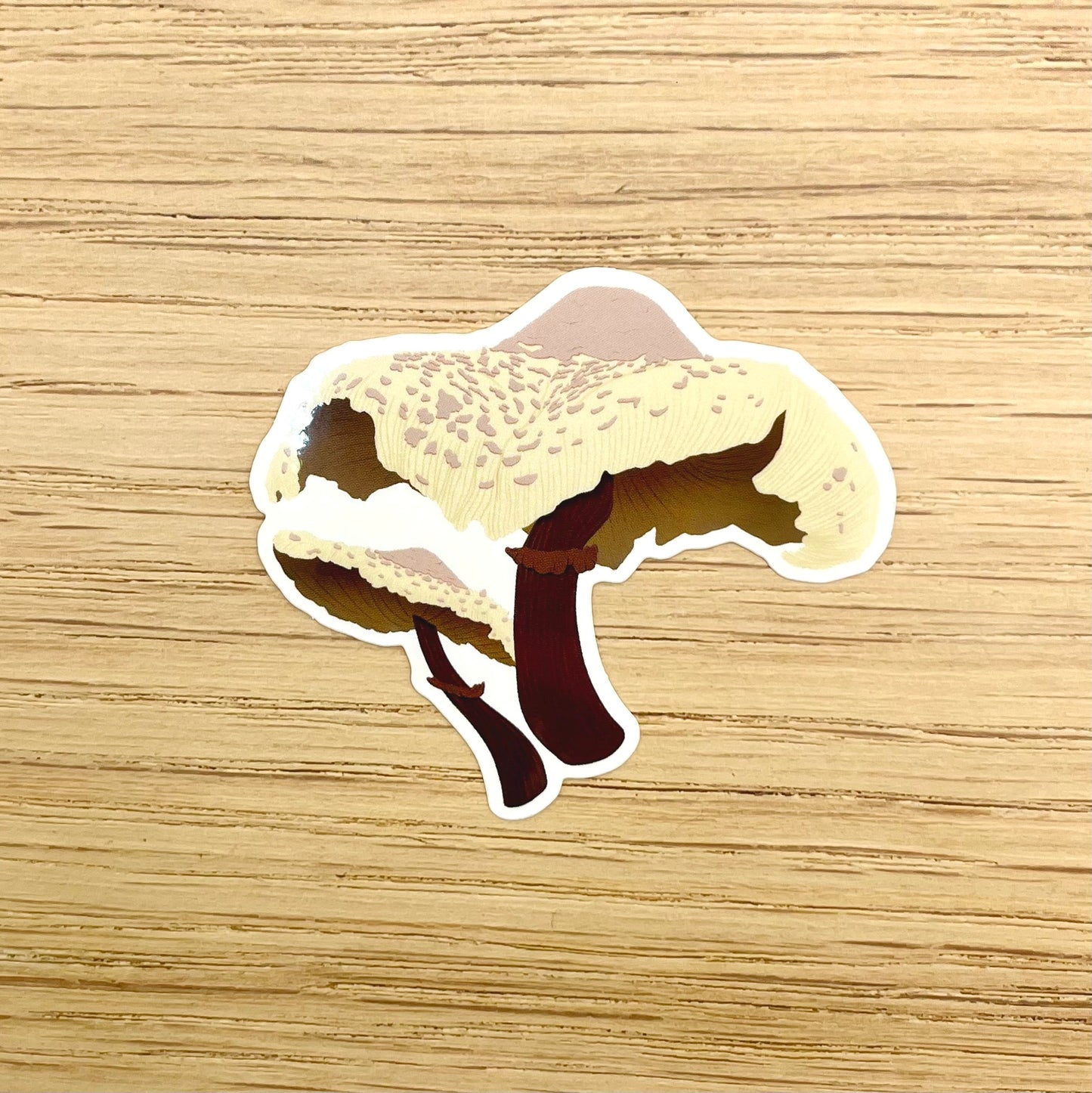 Blusher Mushroom Sticker