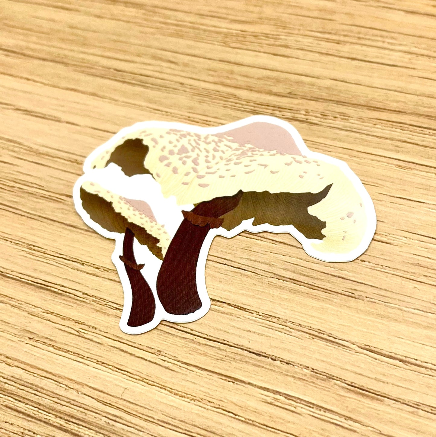 Blusher Mushroom Sticker
