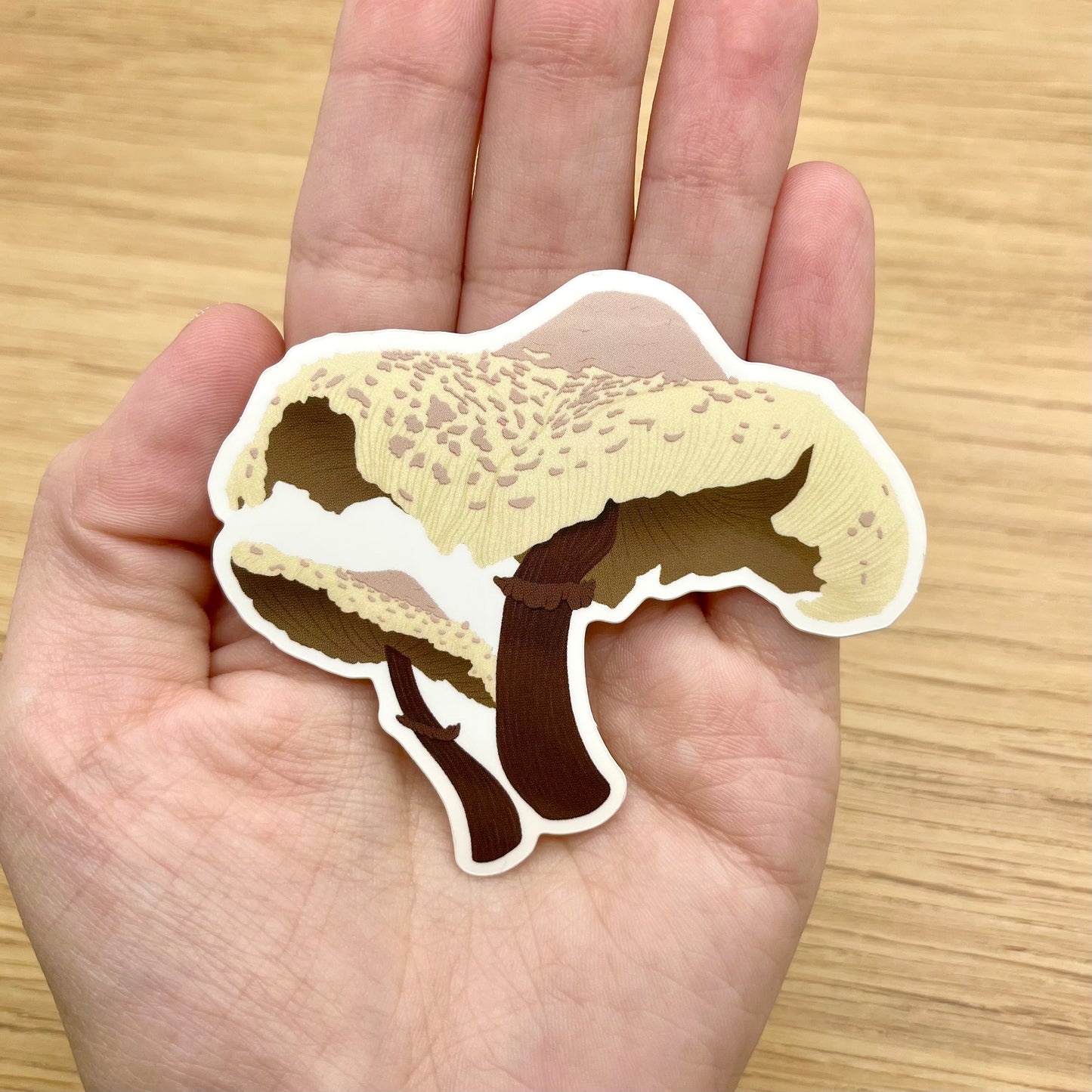 Blusher Mushroom Sticker