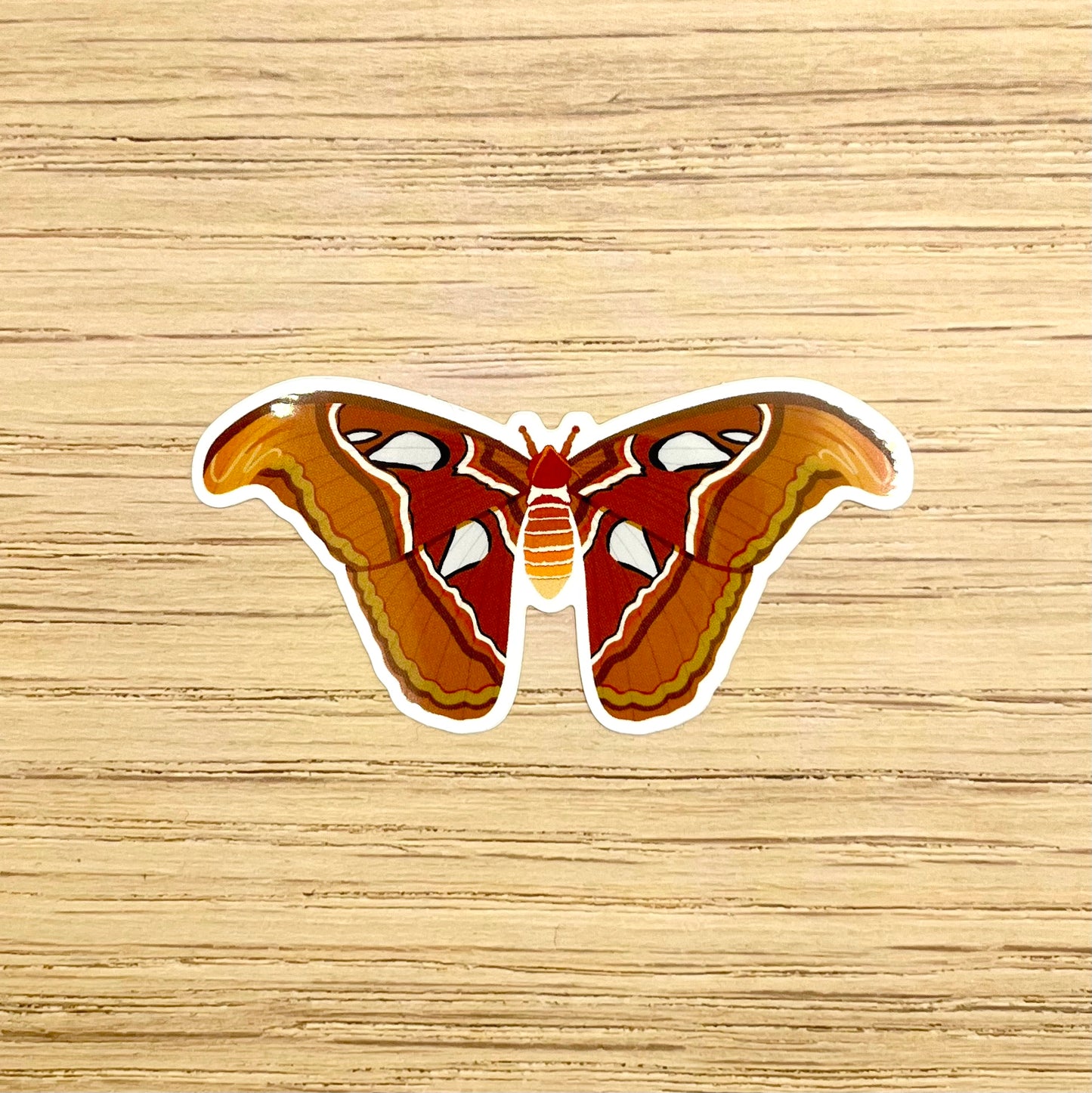 Atlas Moth Sticker
