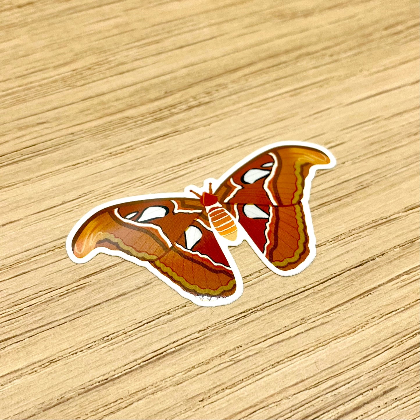 Atlas Moth Sticker