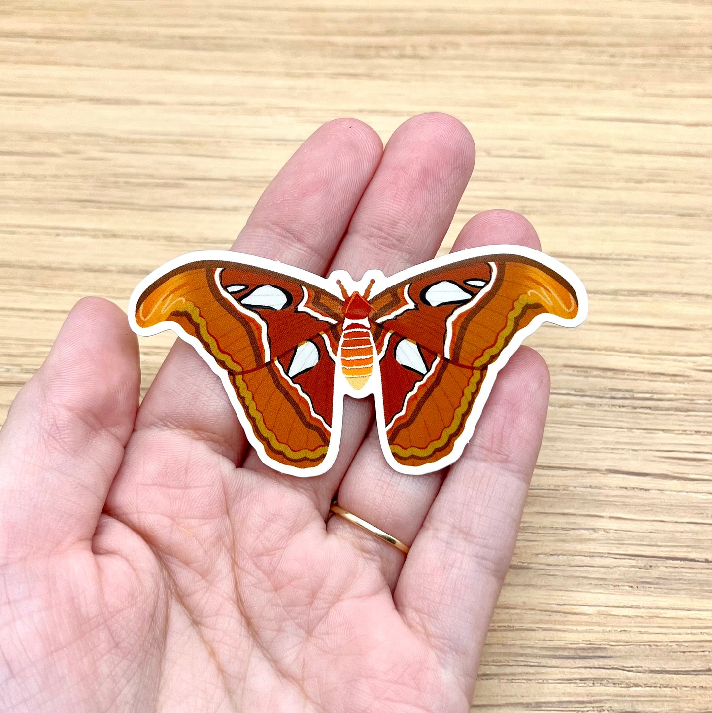 Atlas Moth Sticker