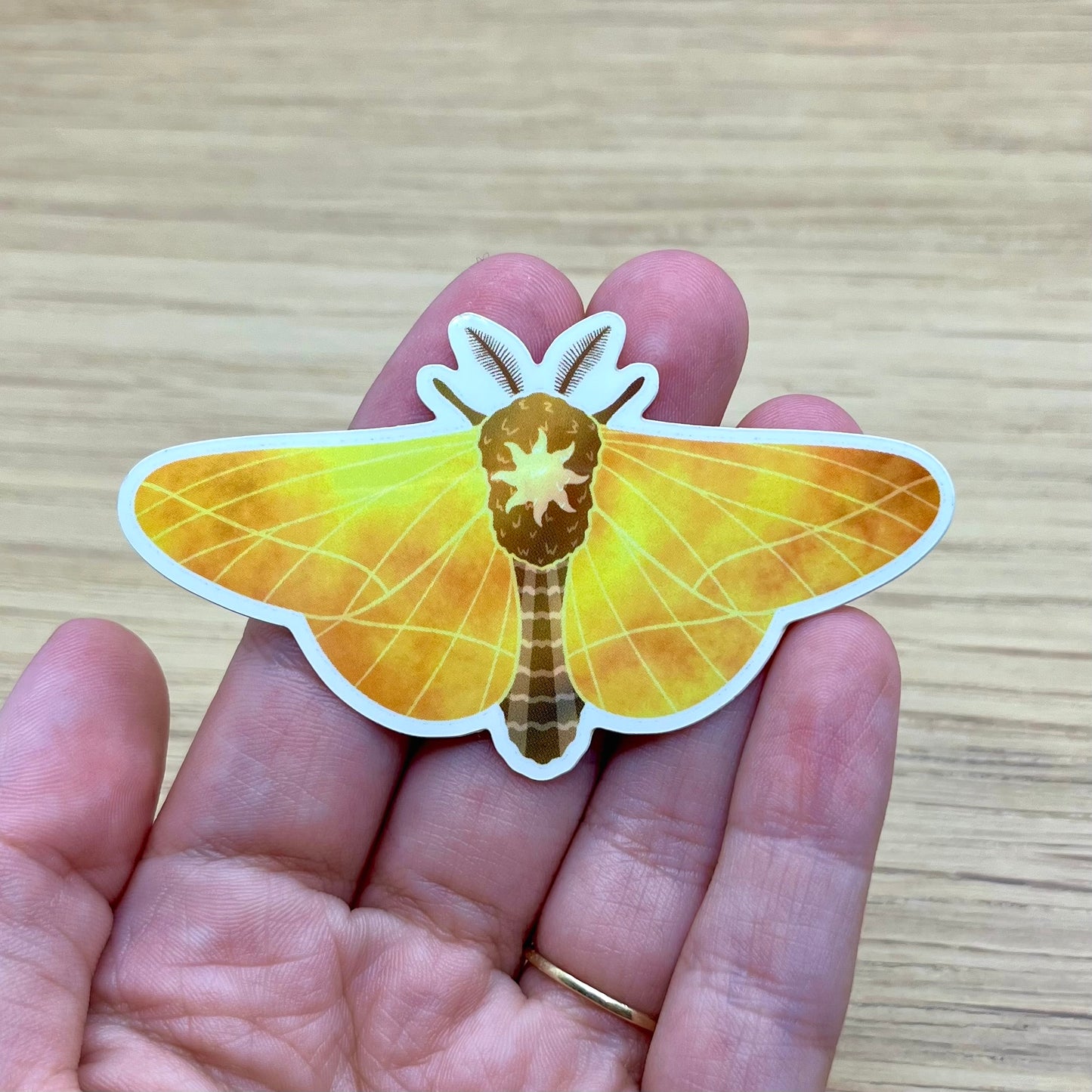 Sun Moth Sticker