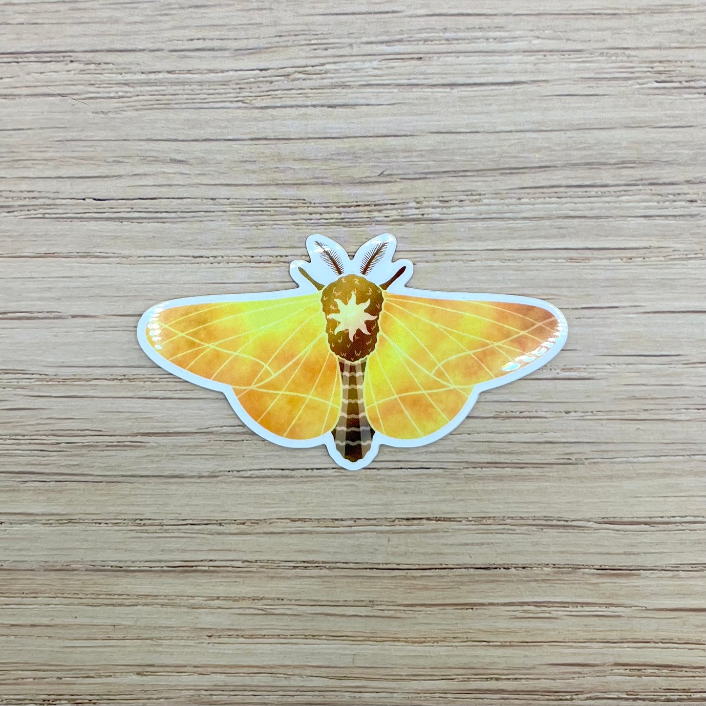 Sun Moth Sticker