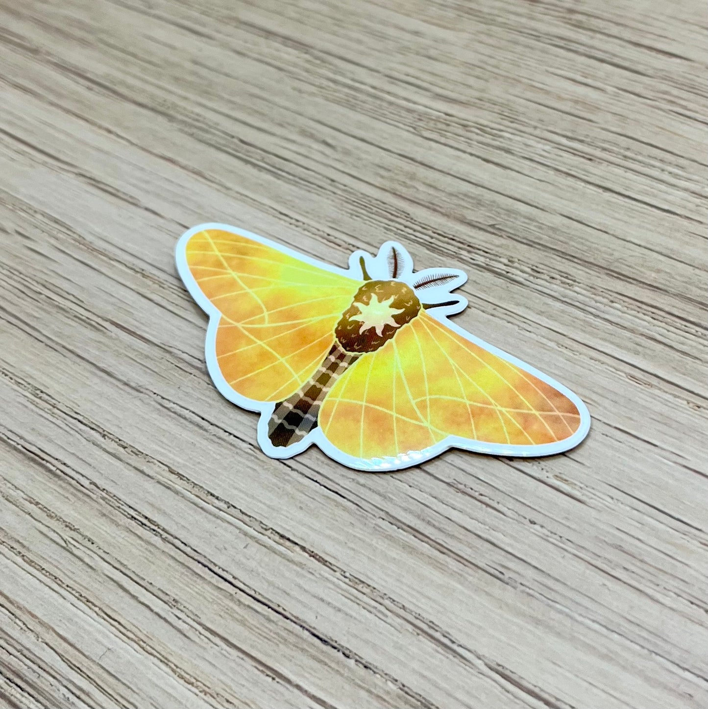 Sun Moth Sticker