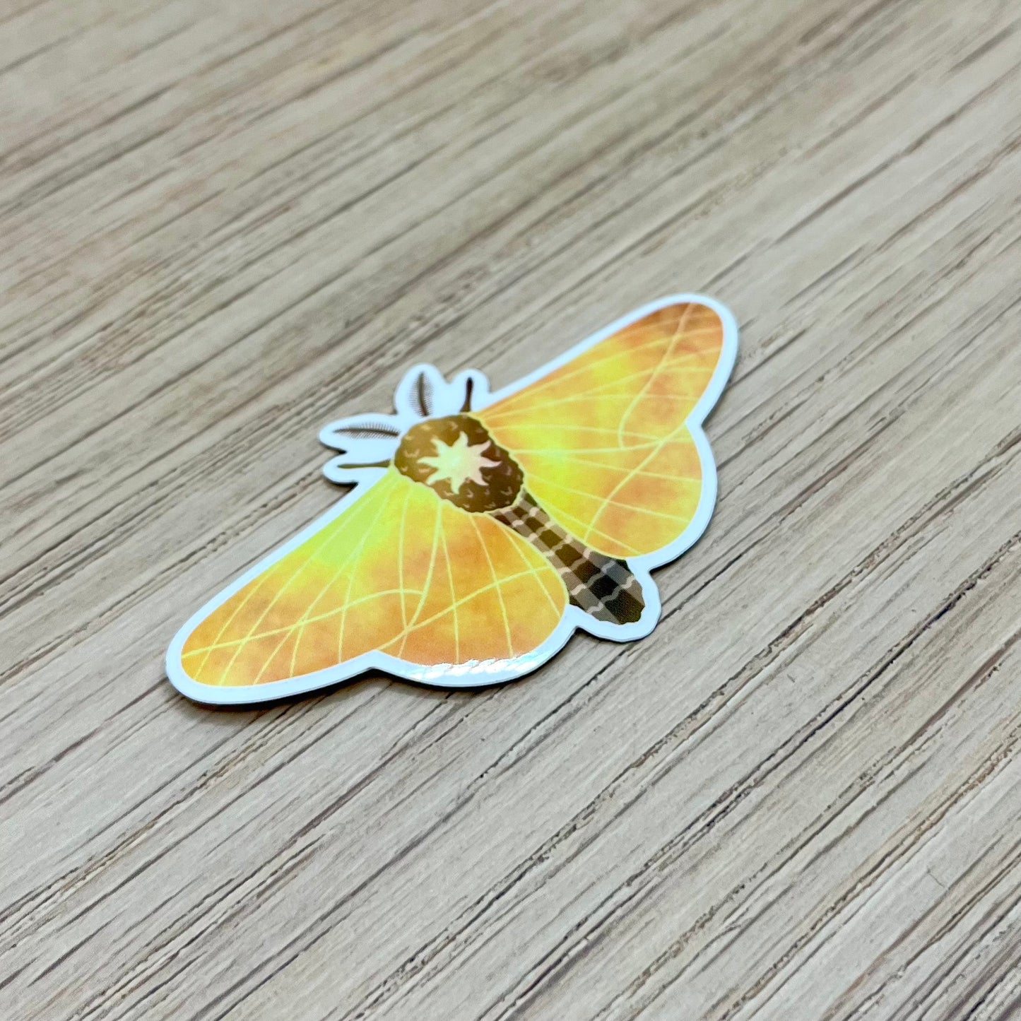 Sun Moth Sticker