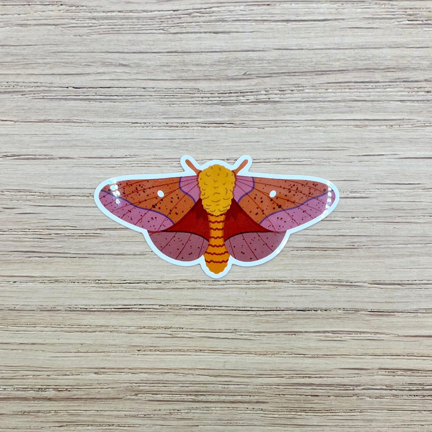 Orange Tipped Oakwood Moth Sticker
