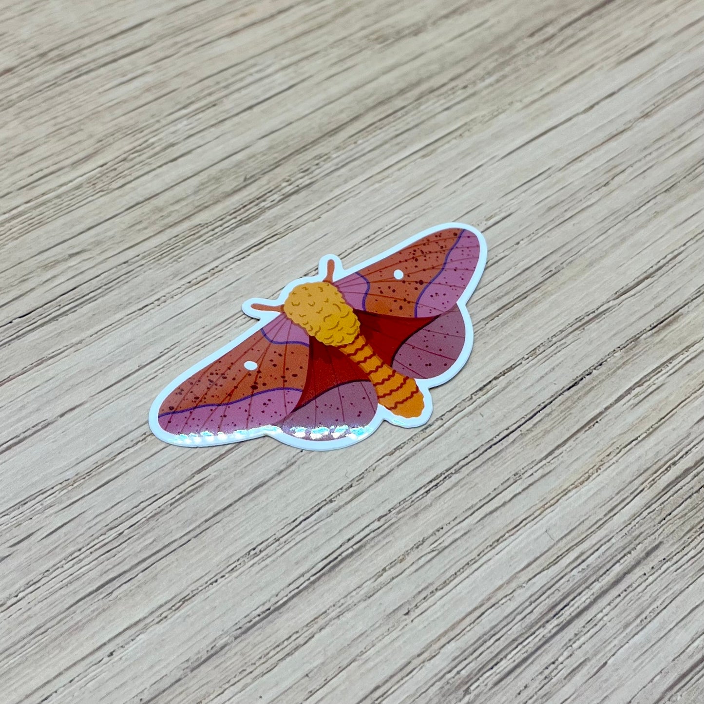 Orange Tipped Oakwood Moth Sticker