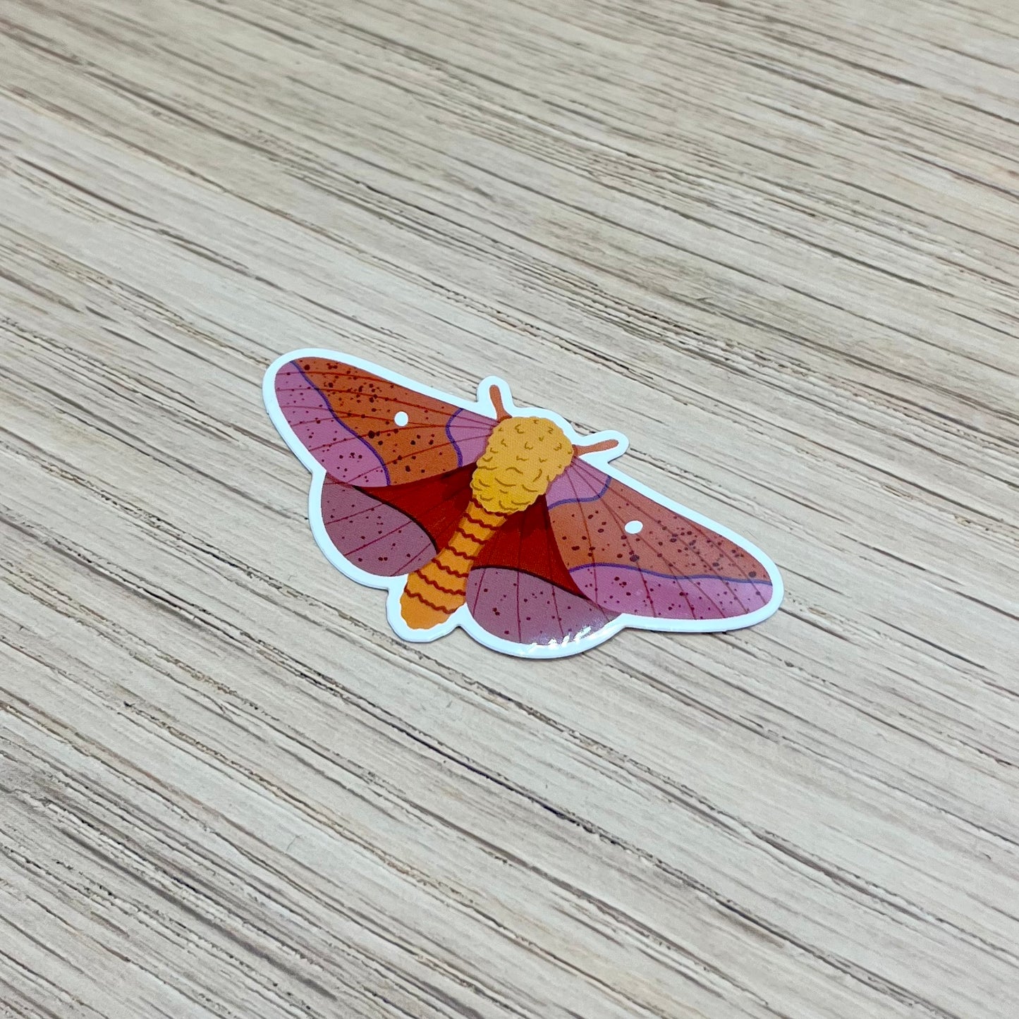 Orange Tipped Oakwood Moth Sticker