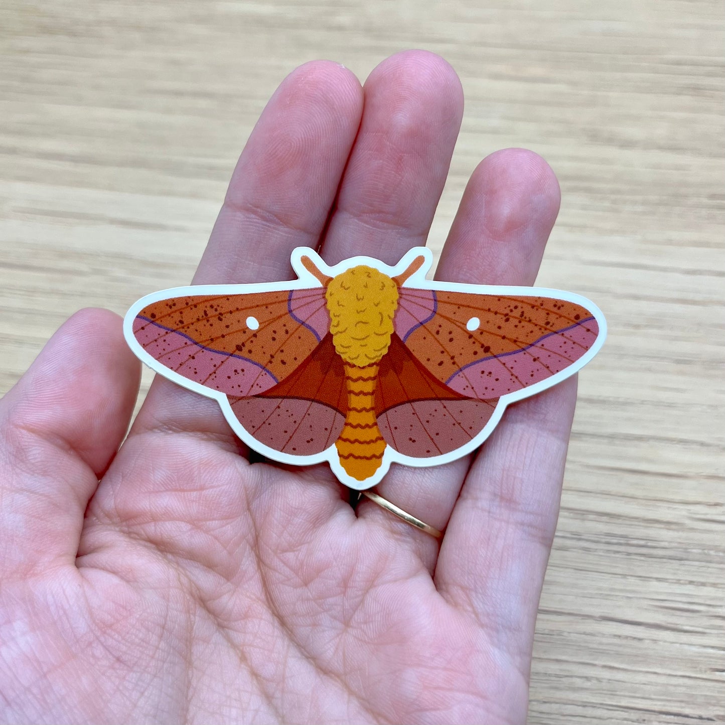 Orange Tipped Oakwood Moth Sticker
