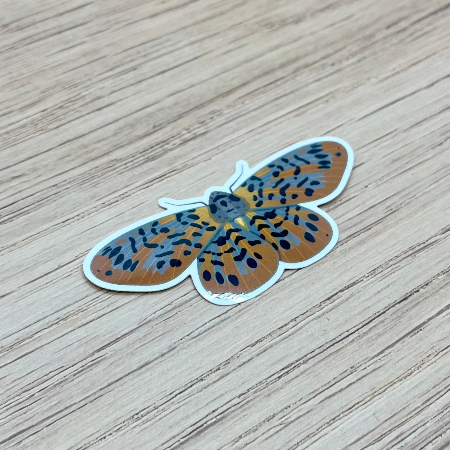 Bracca Matutinata Moth Sticker