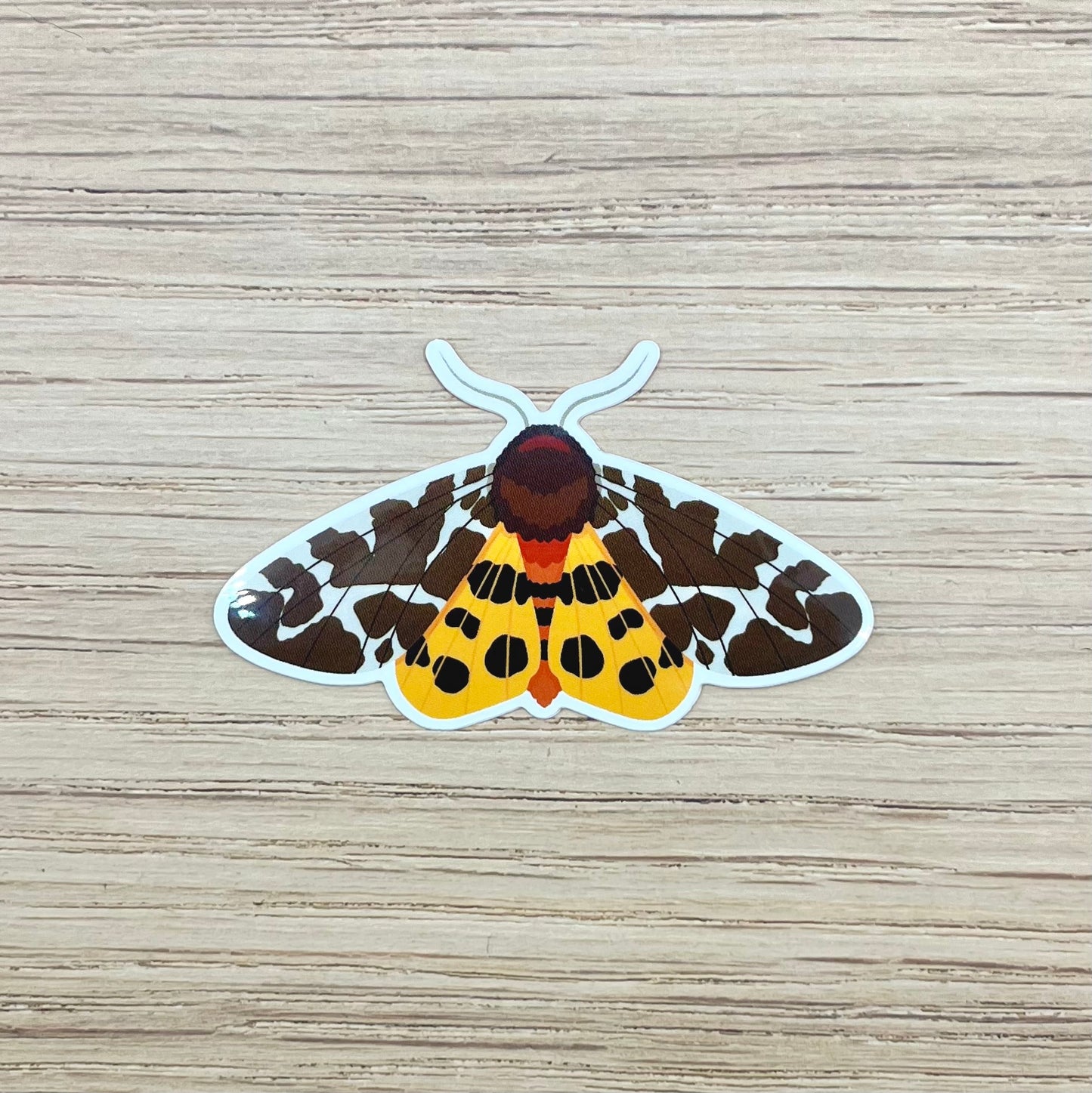Garden Tiger Moth Sticker