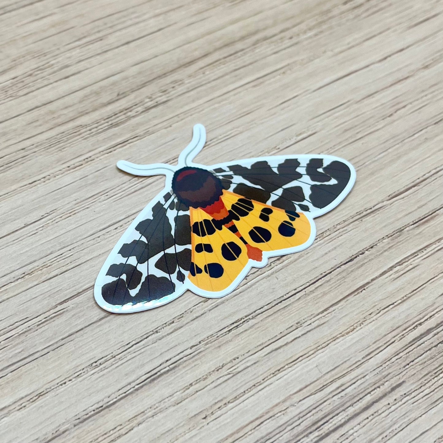 Garden Tiger Moth Sticker