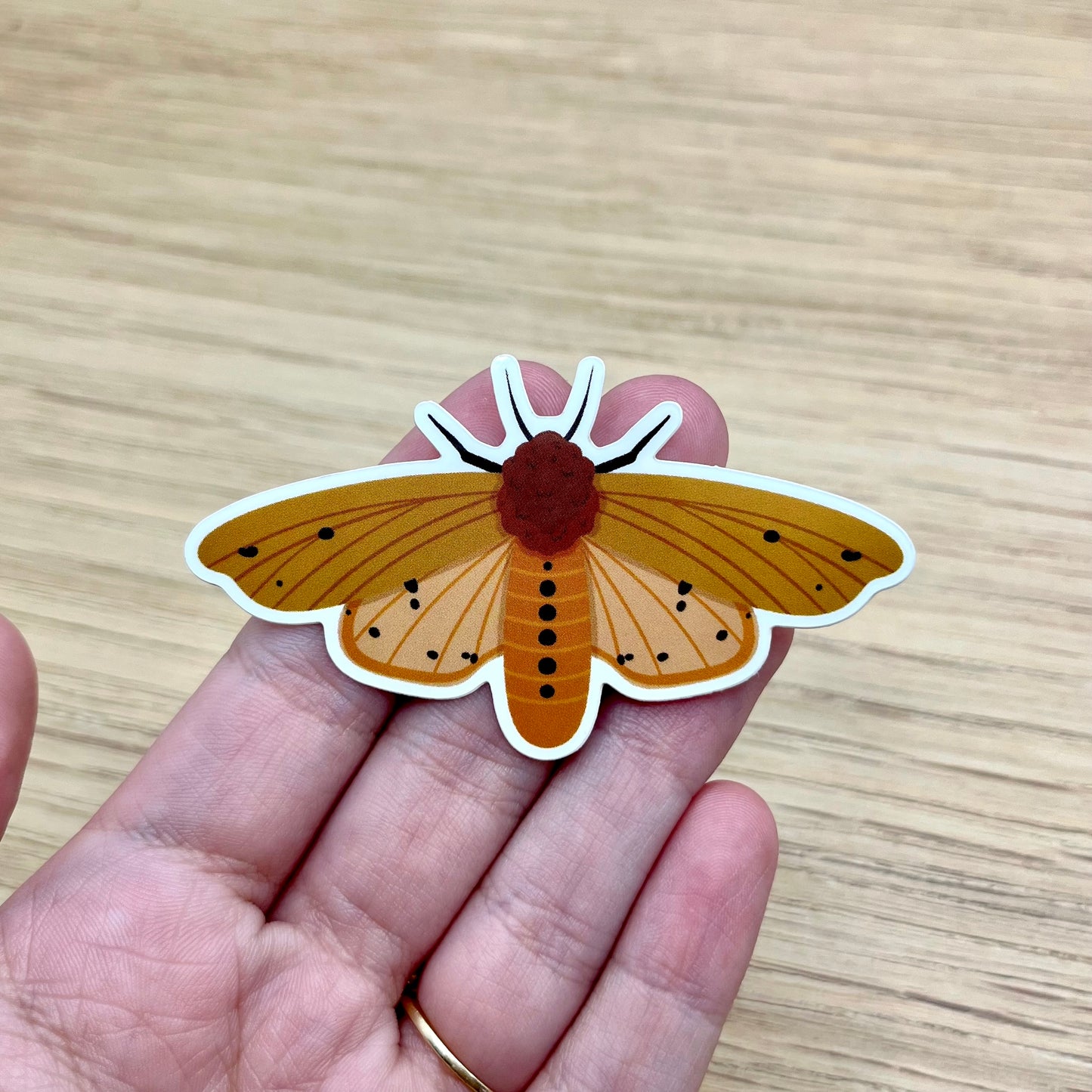 Isabella Tiger Moth Sticker