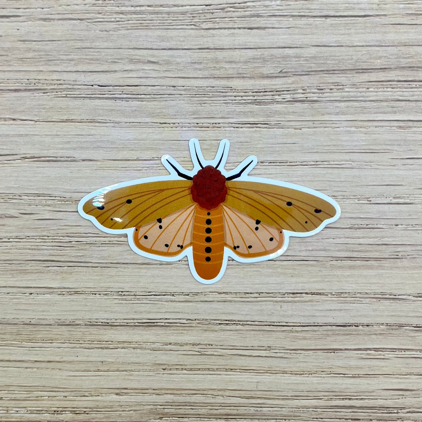 Isabella Tiger Moth Sticker