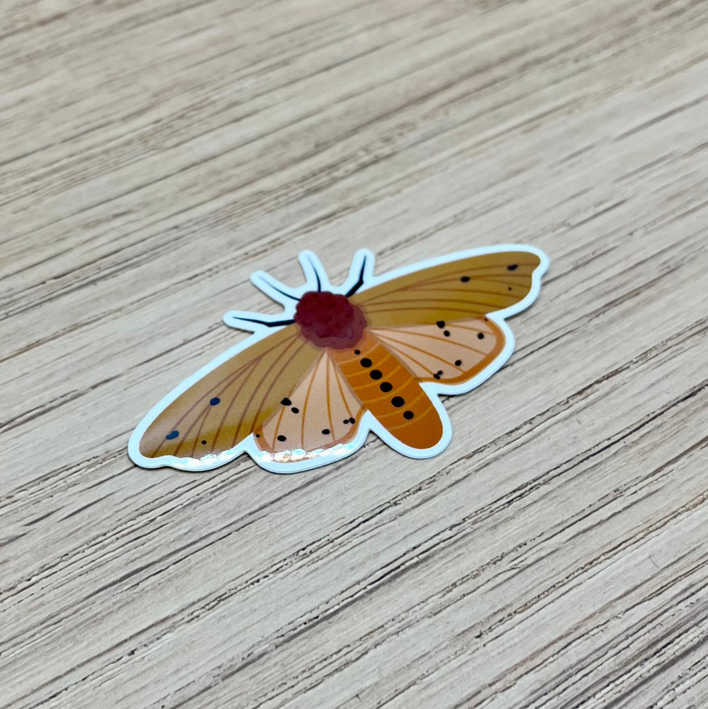 Isabella Tiger Moth Sticker