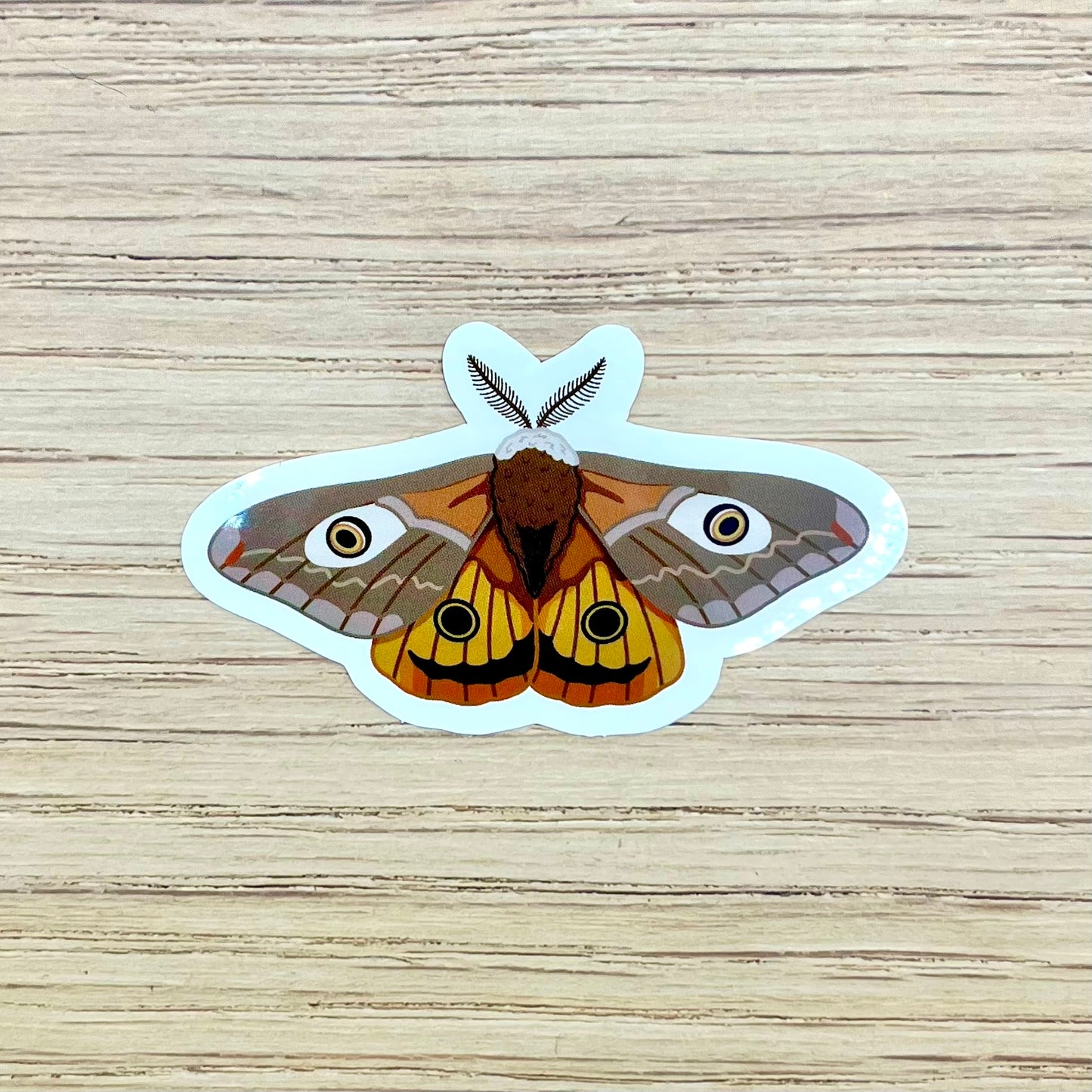 Emperor Moth Sticker