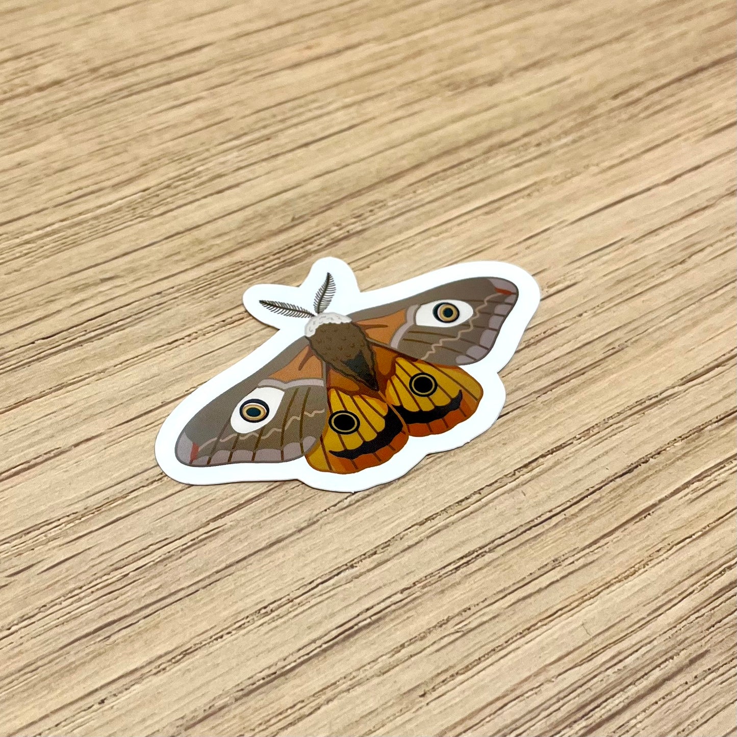 Emperor Moth Sticker