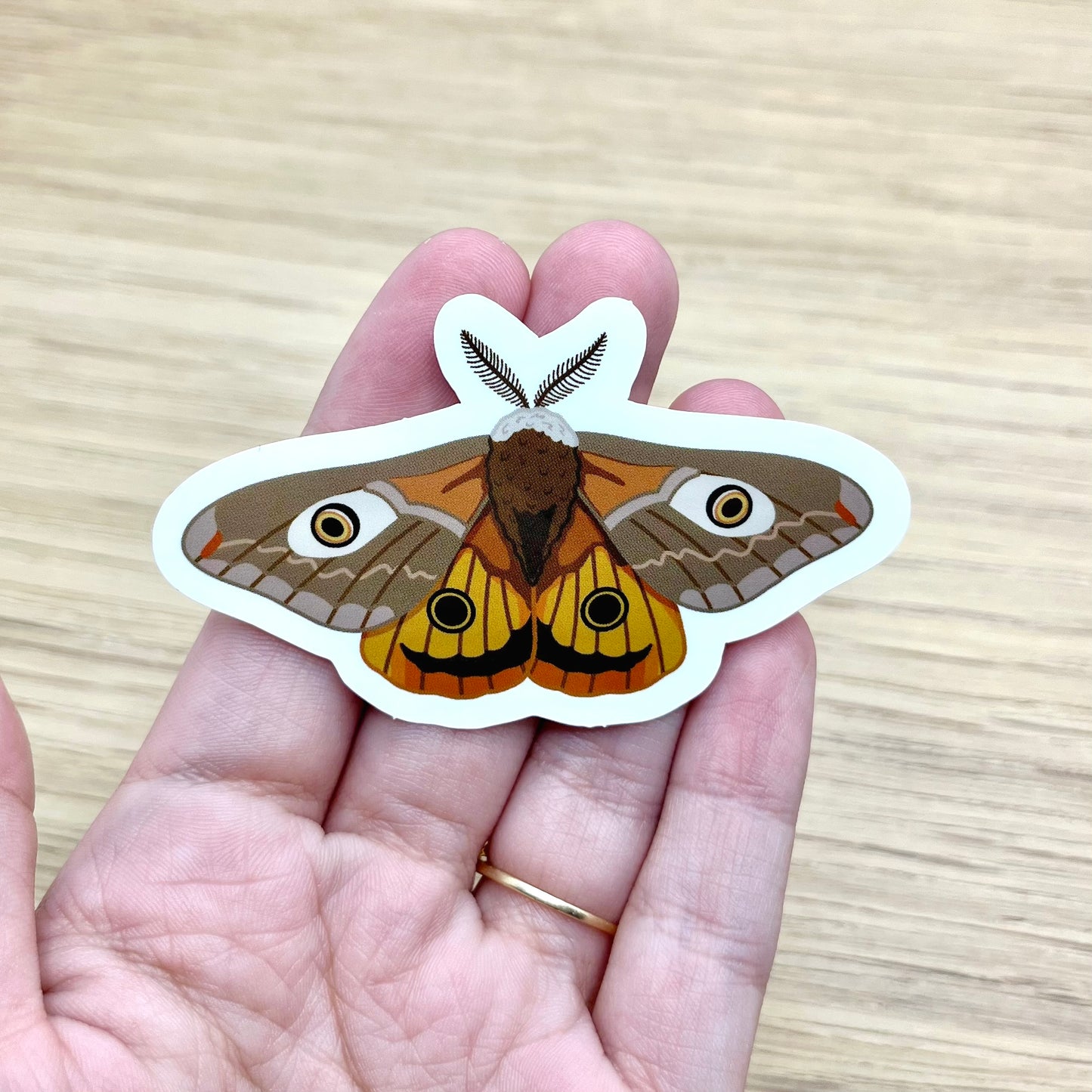 Emperor Moth Sticker