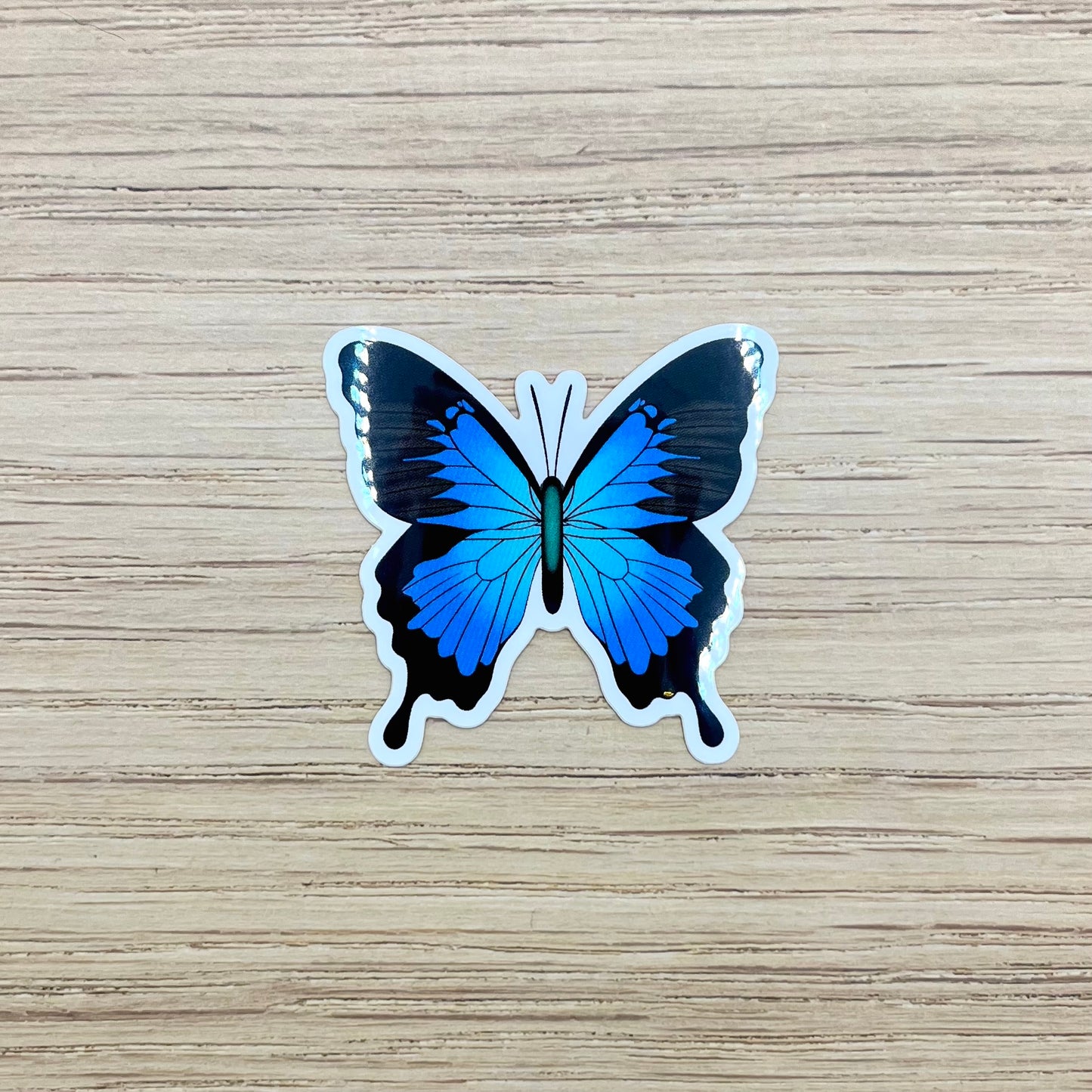 Blue Ulysses Butterfly Sticker