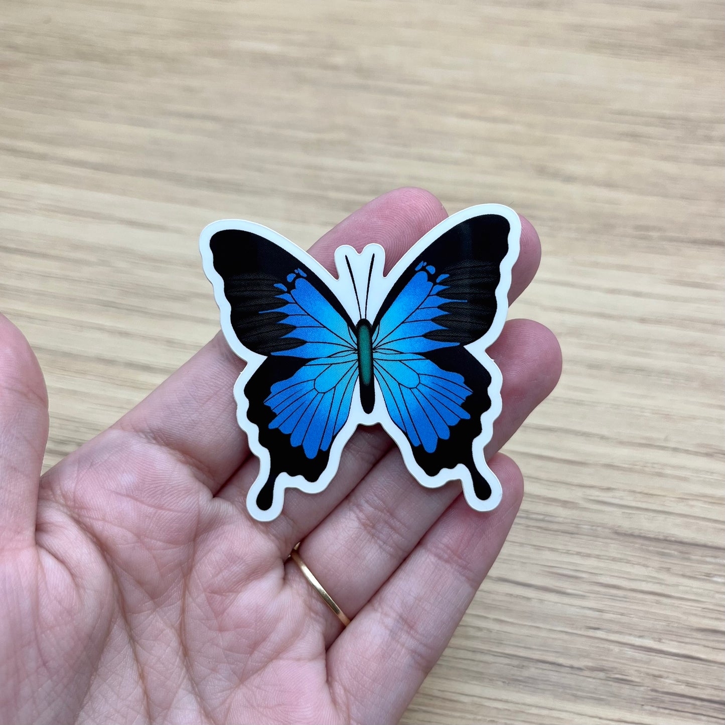 Blue Ulysses Butterfly Sticker