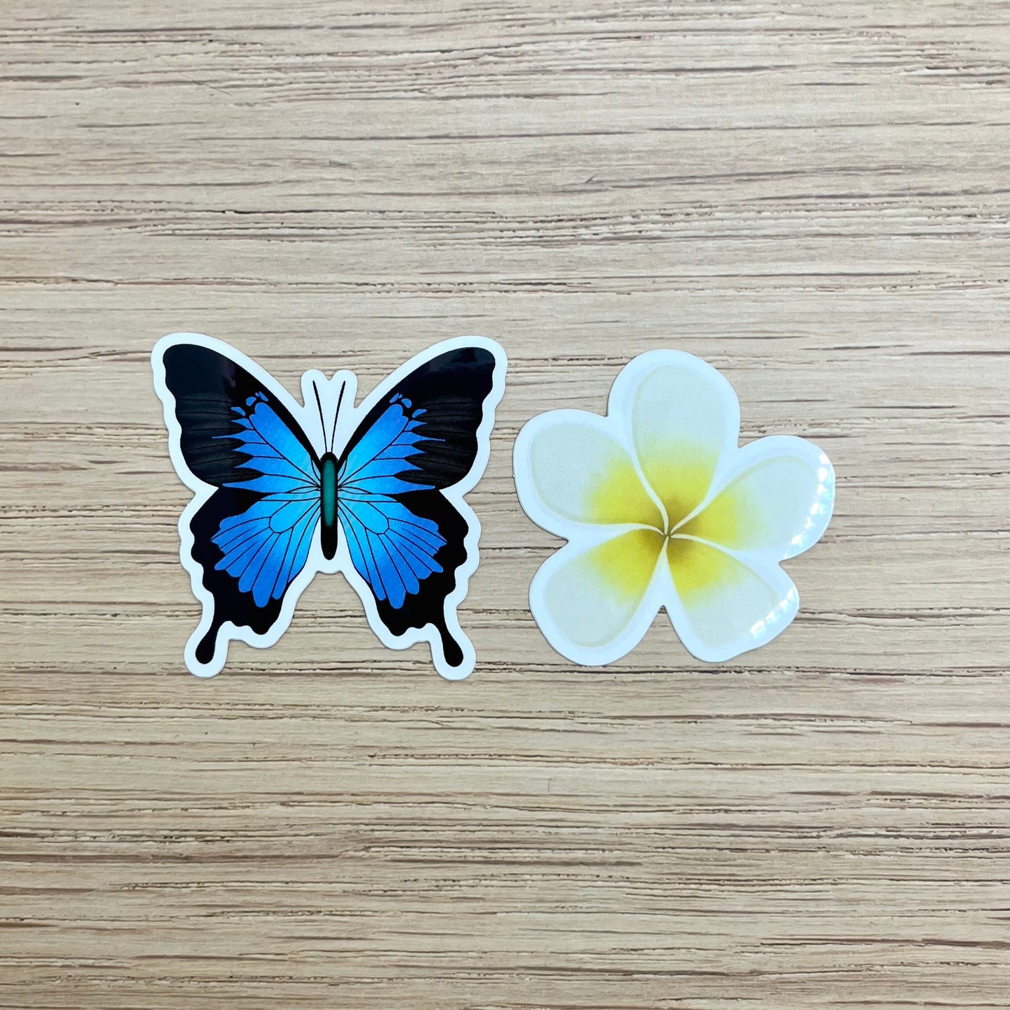 Frangipani Flower Sticker