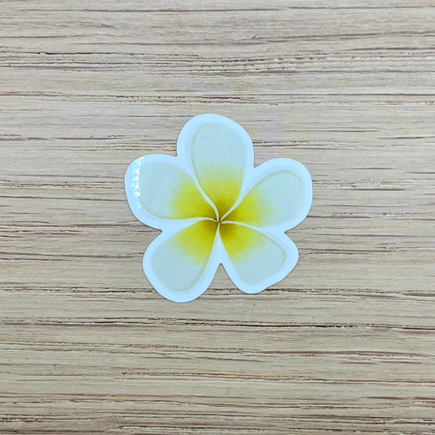 Frangipani Flower Sticker