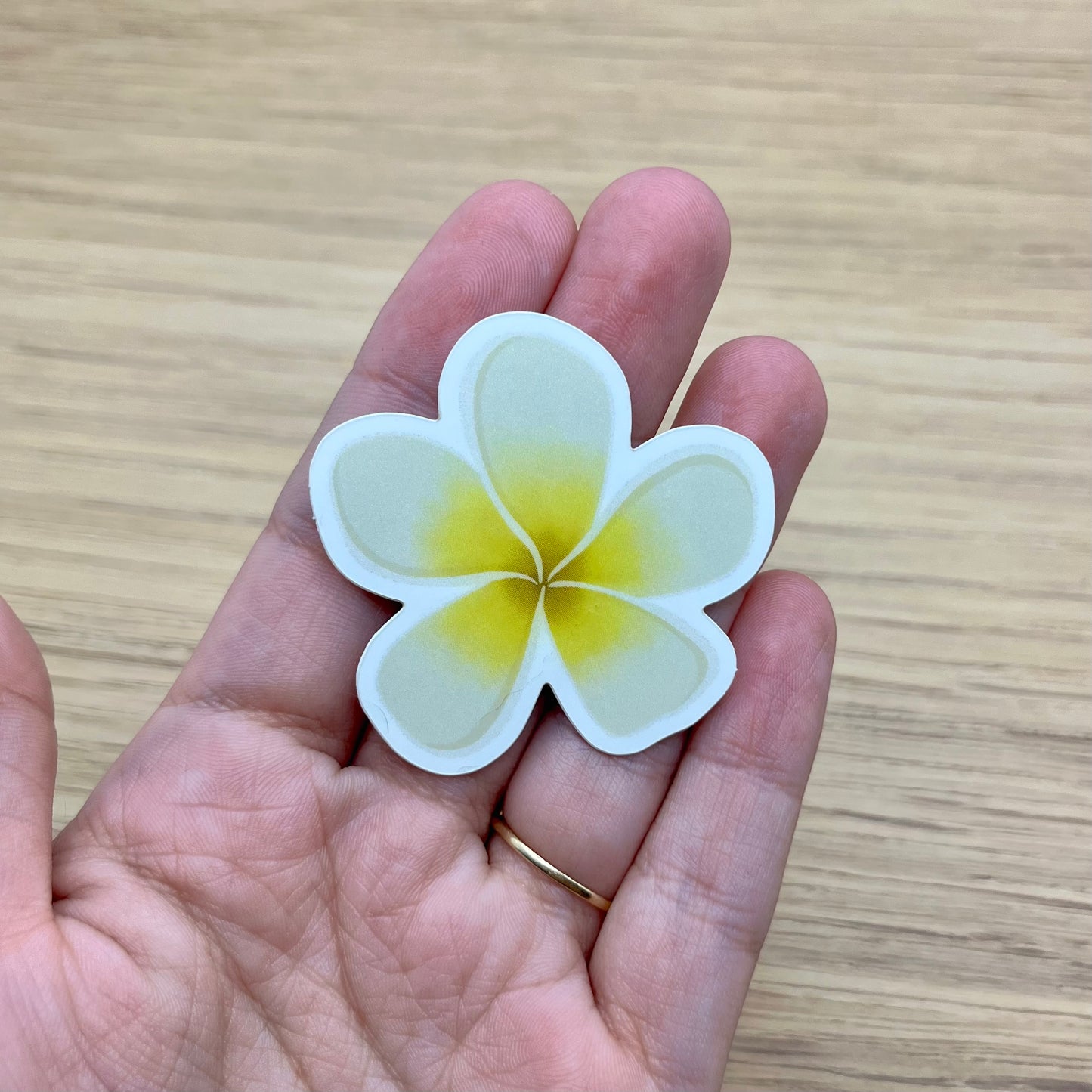 Frangipani Flower Sticker