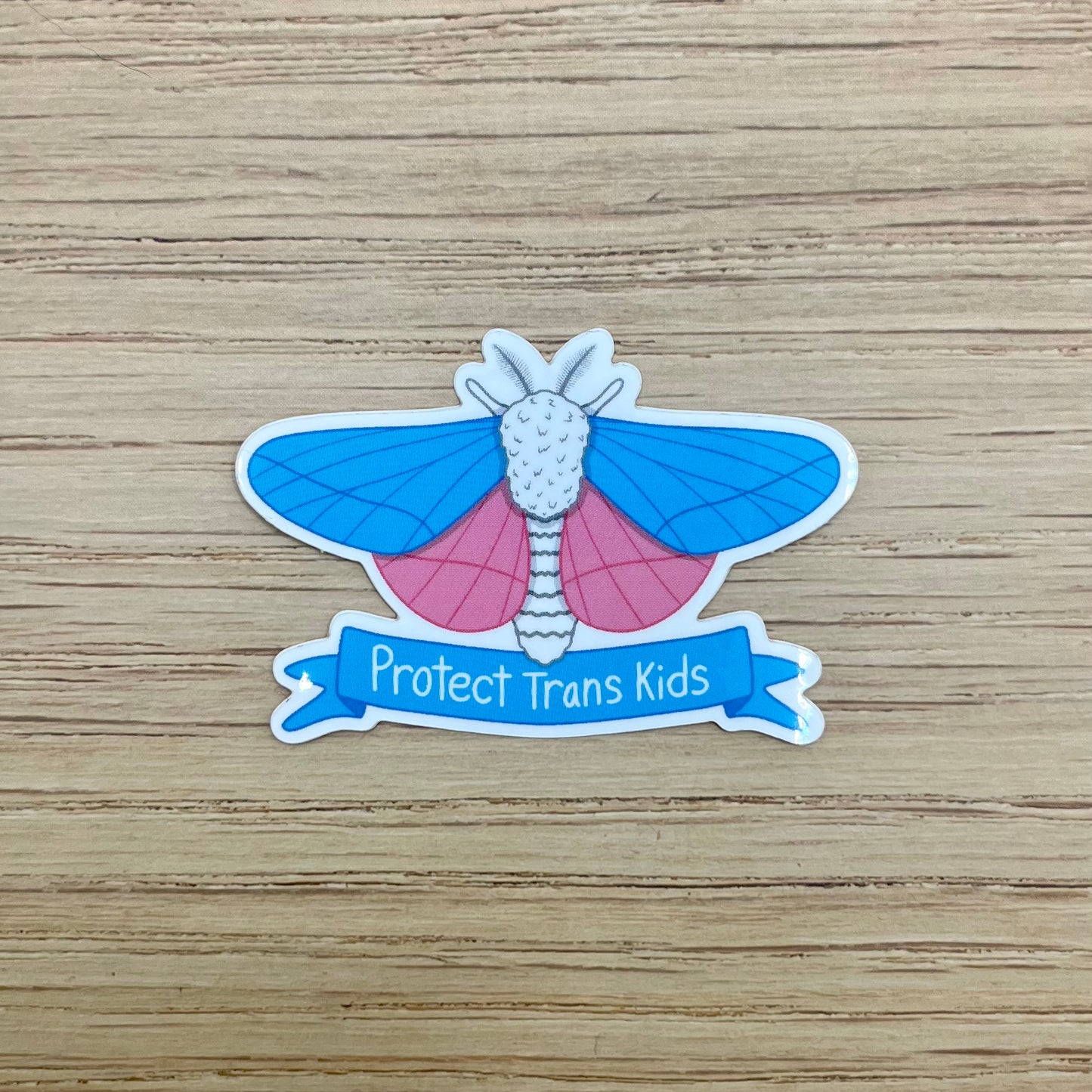Protect Trans Kids Sticker